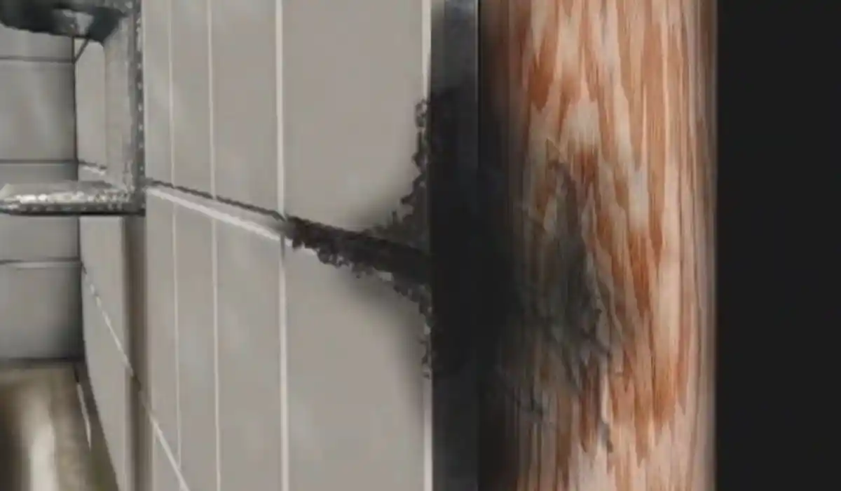 Mold growth around a bathroom wall and pipe fitting
