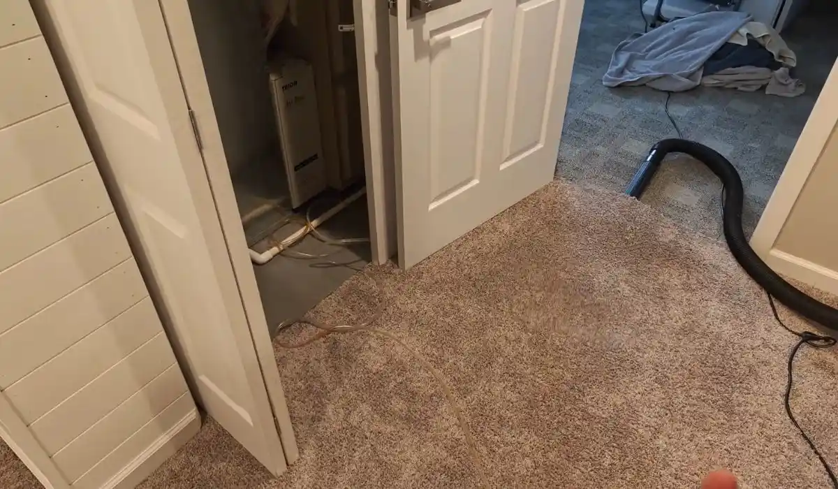 Wet carpet in a hallway with a water extraction hose nearby