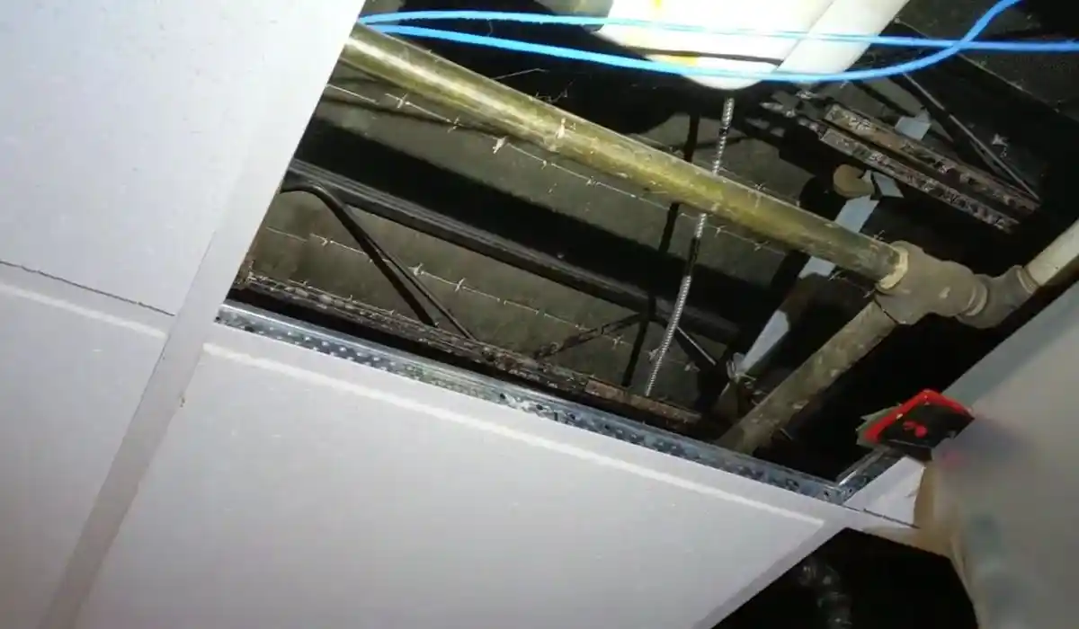 Exposed ductwork and piping in a commercial building ceiling during a mold inspection