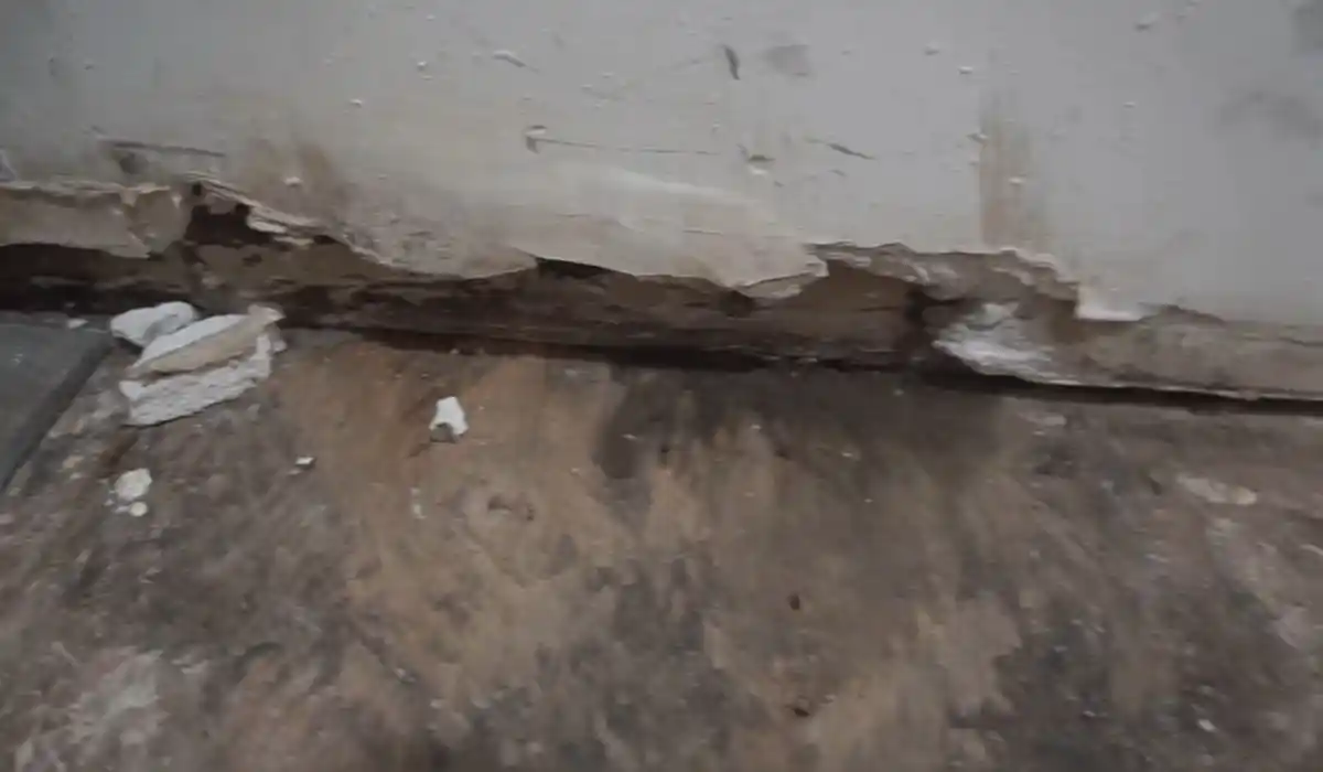 Close-up of water-damaged, mold-stained drywall