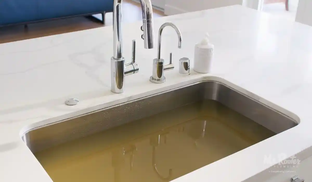 Sink filled with murky backed-up water