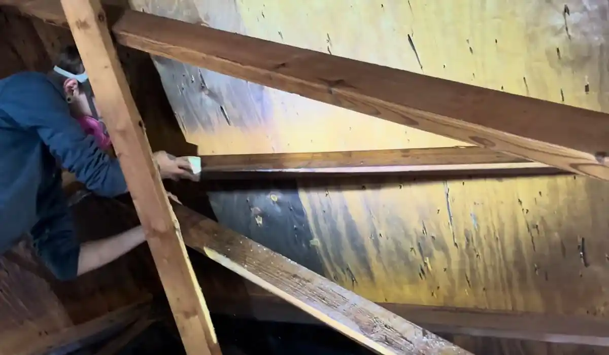 Attic rafters and insulation stained with soot after a fire
