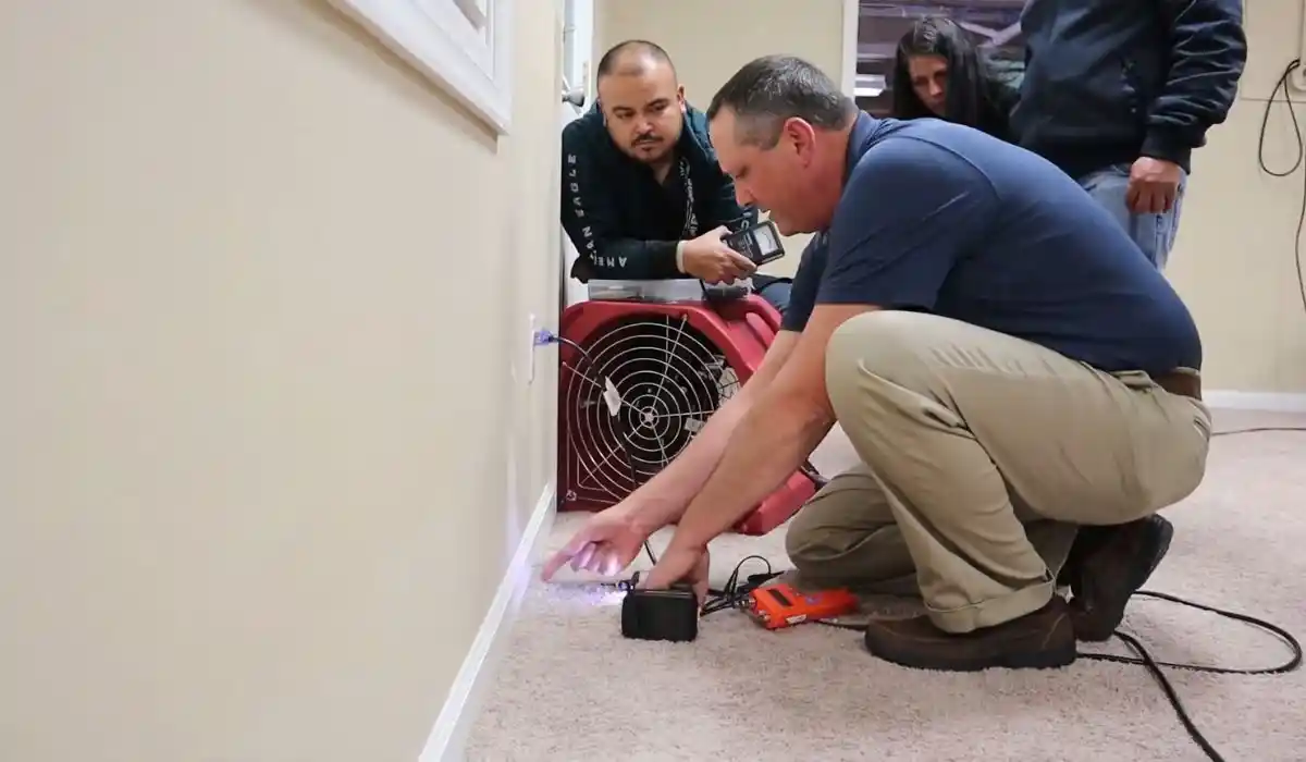 Technicians setting up an air mover on carpet during structural drying